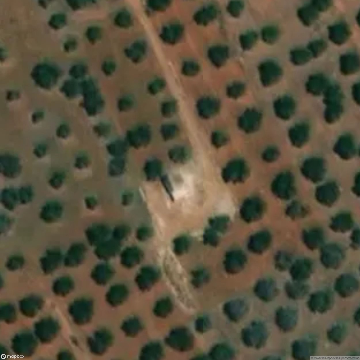 Crypt of the Madonna of the Grottella [ITA]