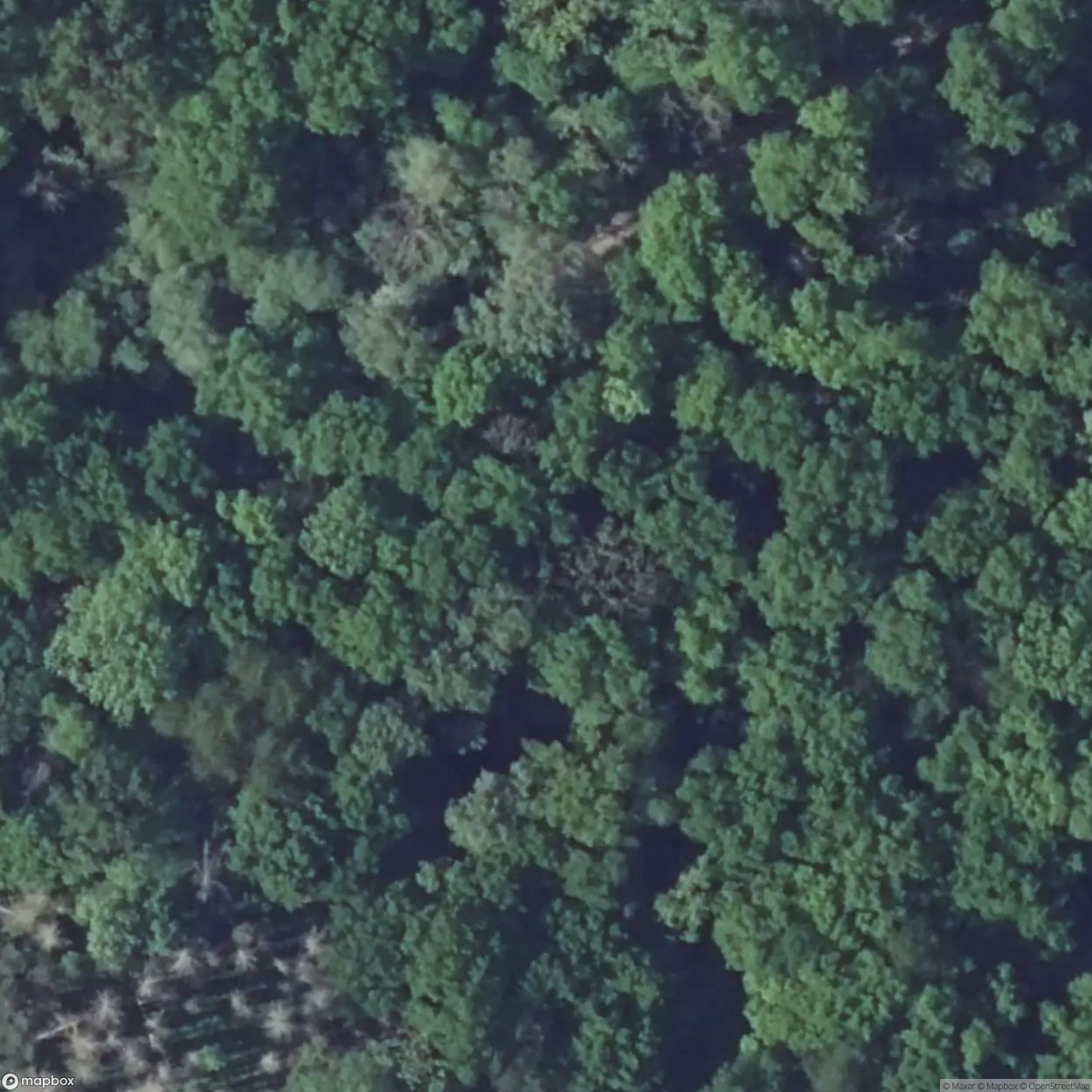 Anzeling Fortification [FRA]