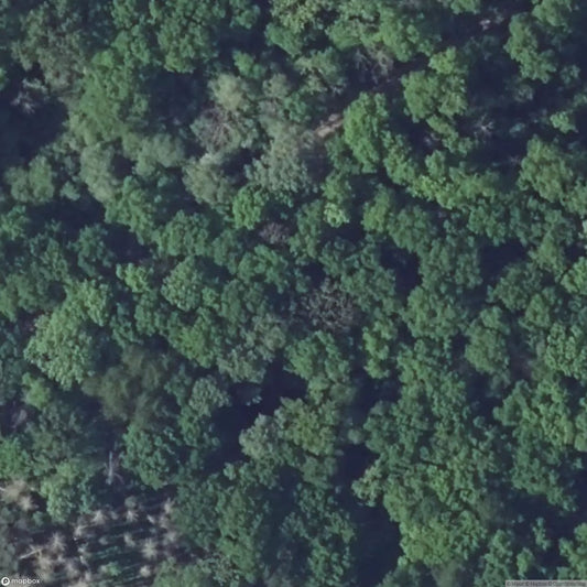 Anzeling Fortification [FRA]