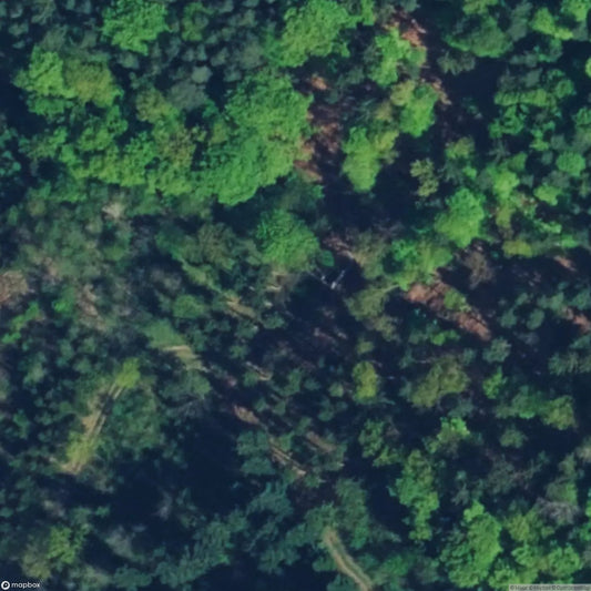 House/Ruin/Hut 2668 [OTHER] [AUT]