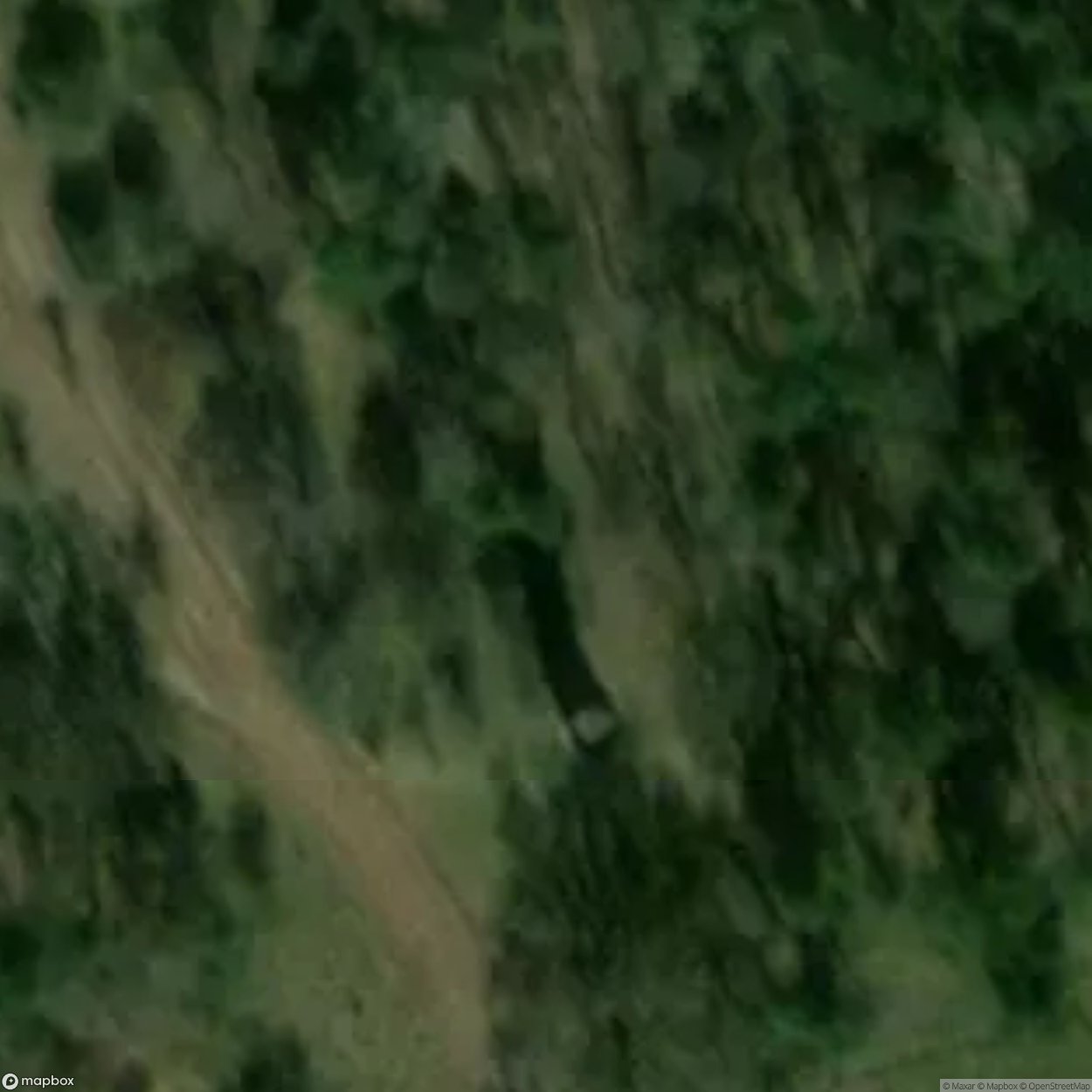 Observation tower [POL]