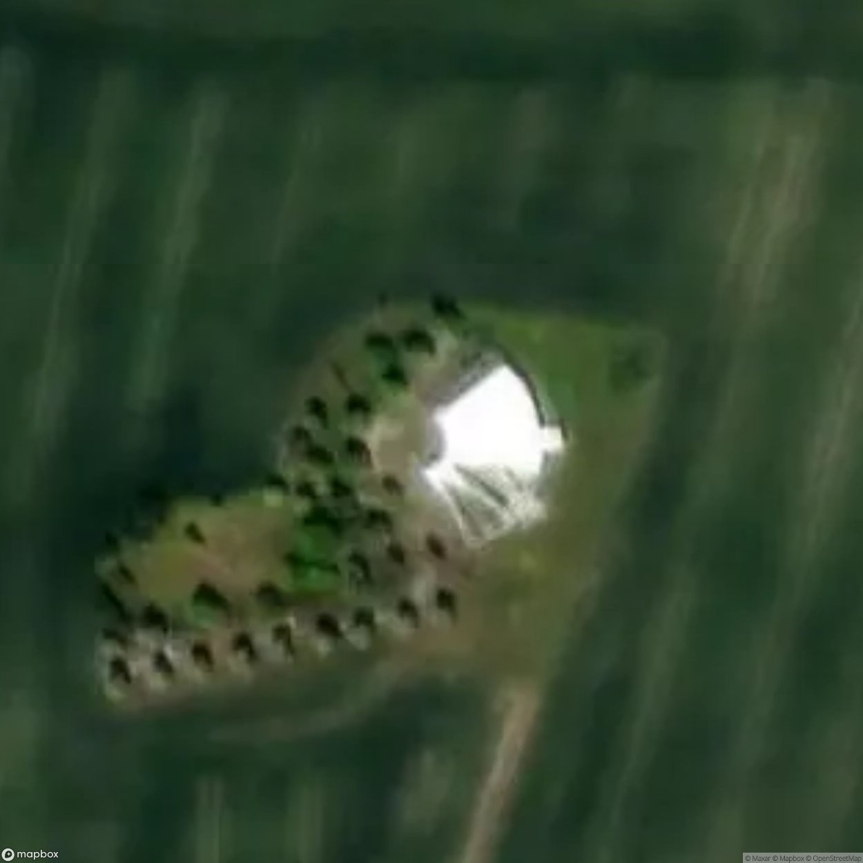 Fruit Market 2467 [AUT]