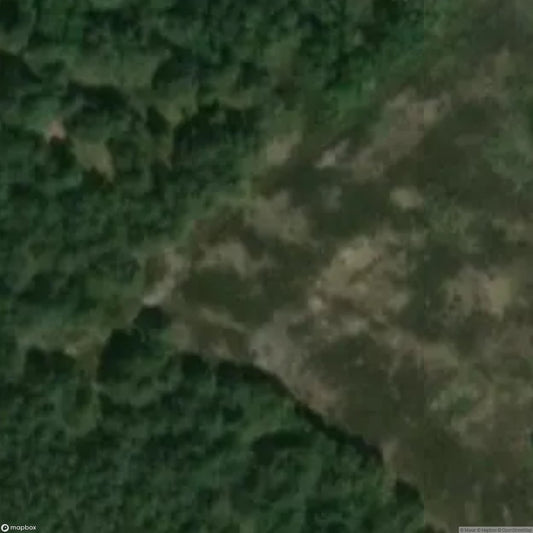 Training Area Sophienhof near Tangerhütte [DEU]