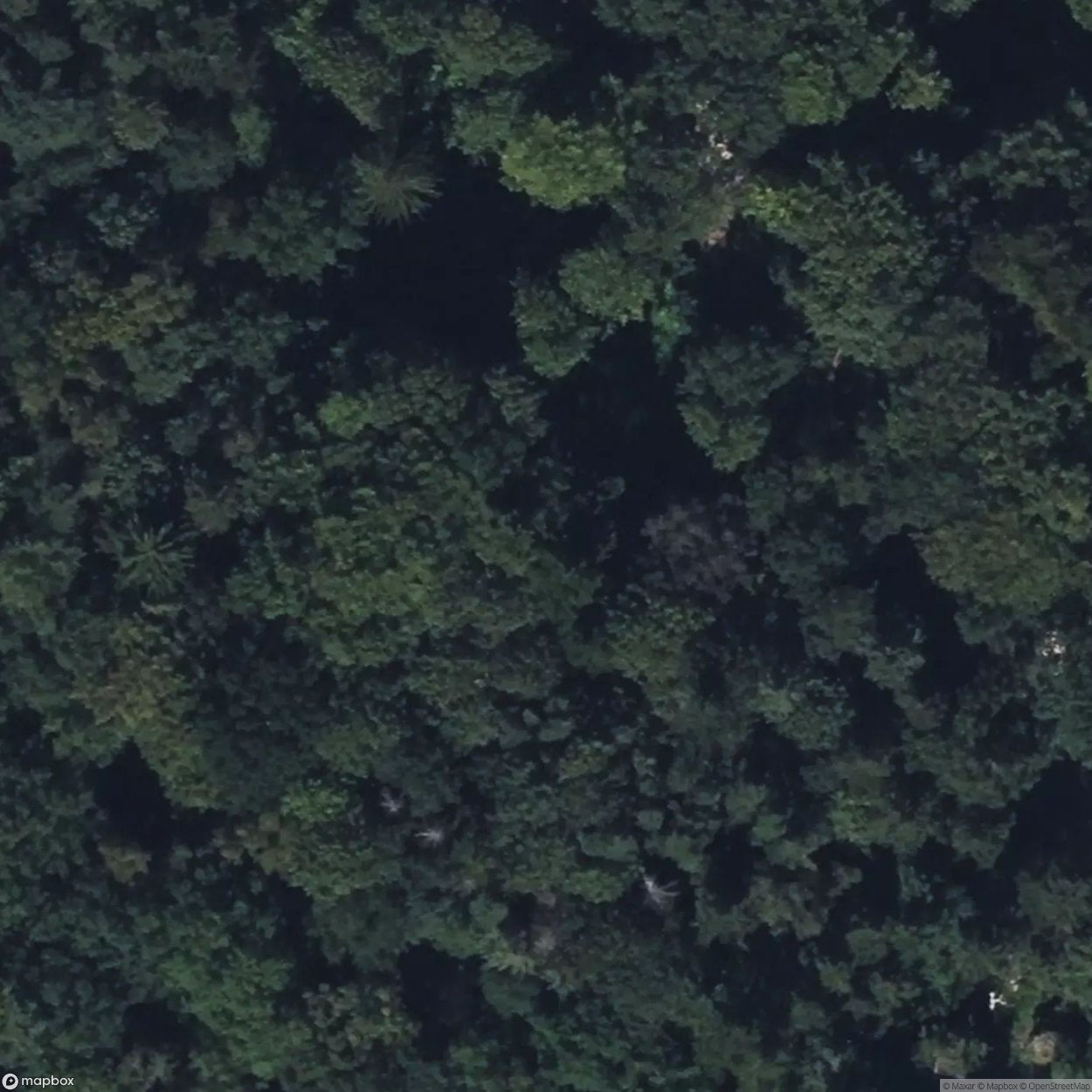 Building remains in Hamburg Volkspark [DEU]