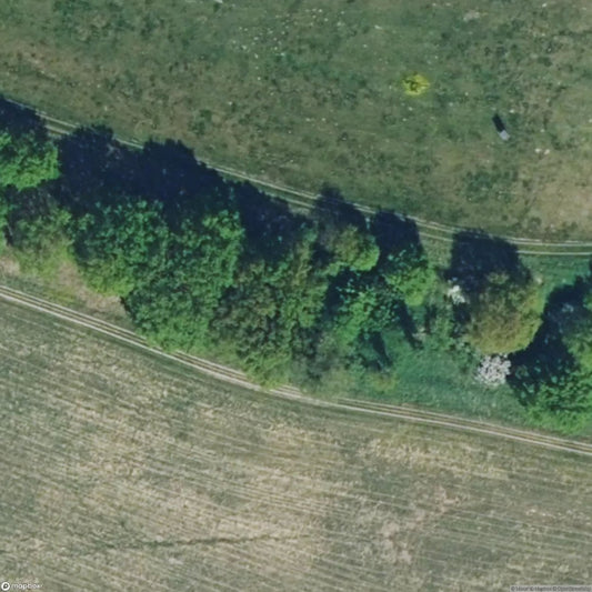 Mourning Woman [DEU]