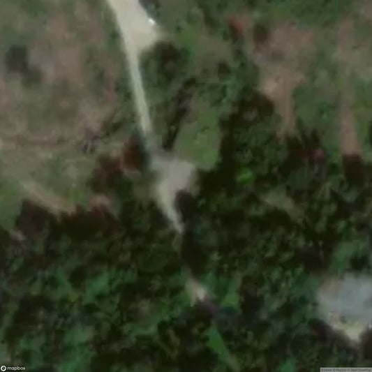 Dynamit AG and IG Farben 1 [DEU]