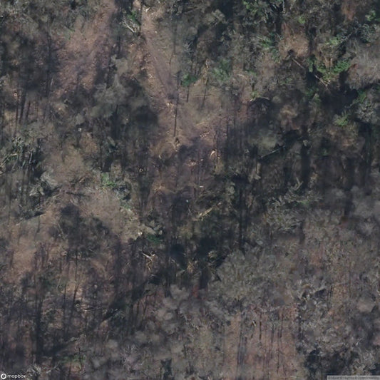 Monastery Ruin Schwarzenbroich in Hürtgenwald [DEU]