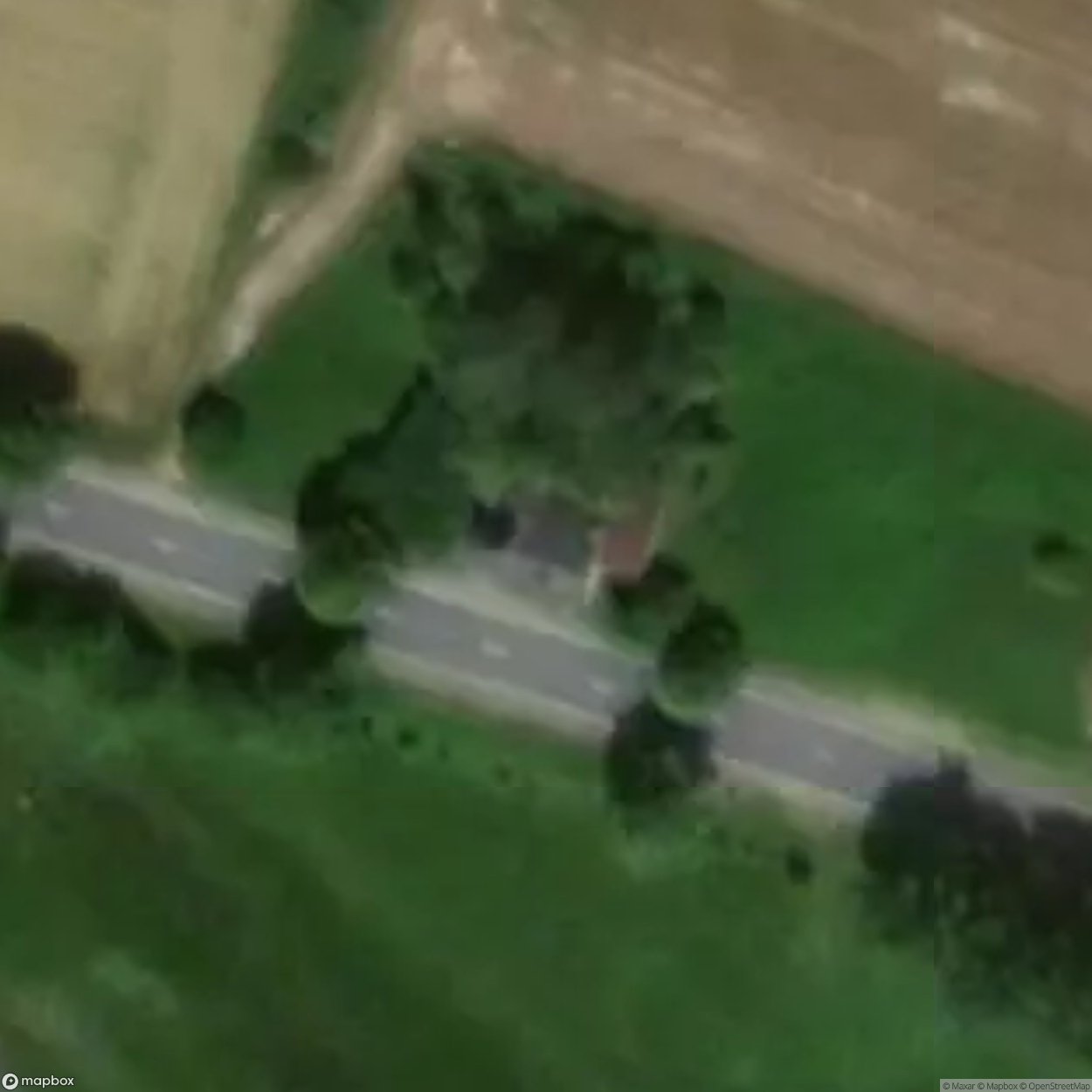 Albert I House / Maison Albert 1er [BEL]