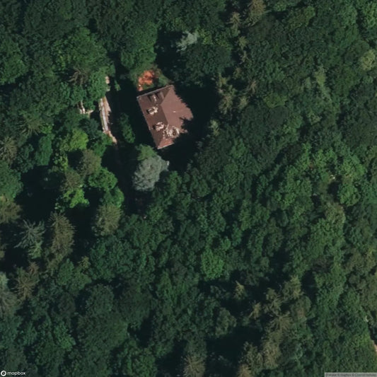 Alpine Flower Field Colony [ITA]