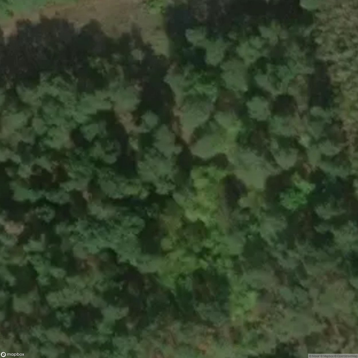 Historic Cemetery Karczew Otwock [POL] #35805