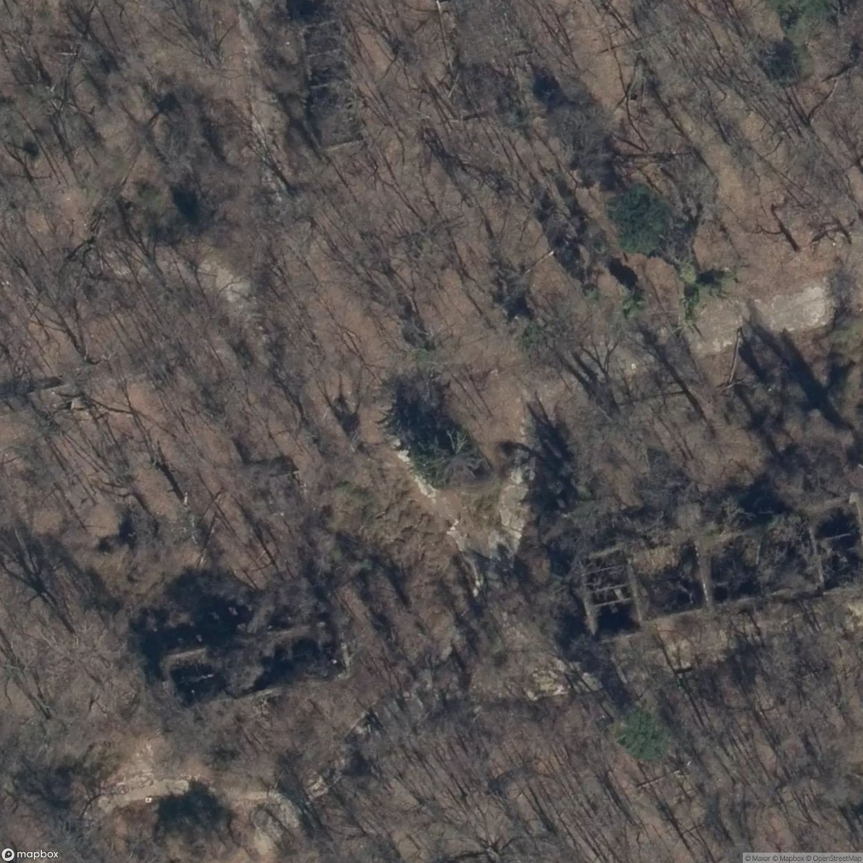 Staten Island Farm Colony