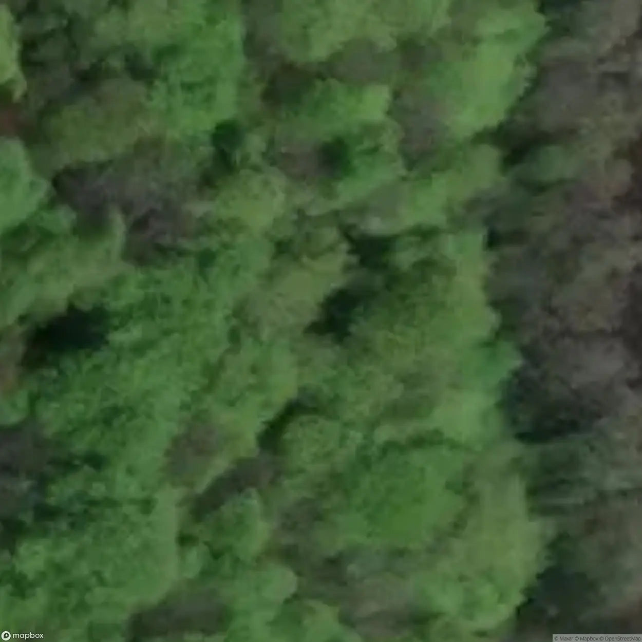 LadyParkWoodIronMines [GBR]