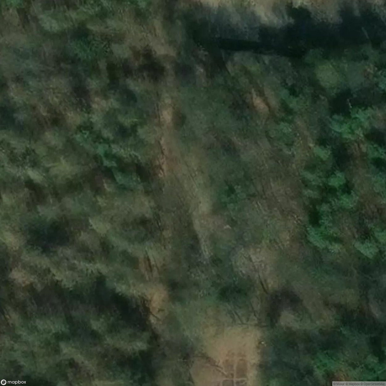 Wifo Zarrentin [DEU]