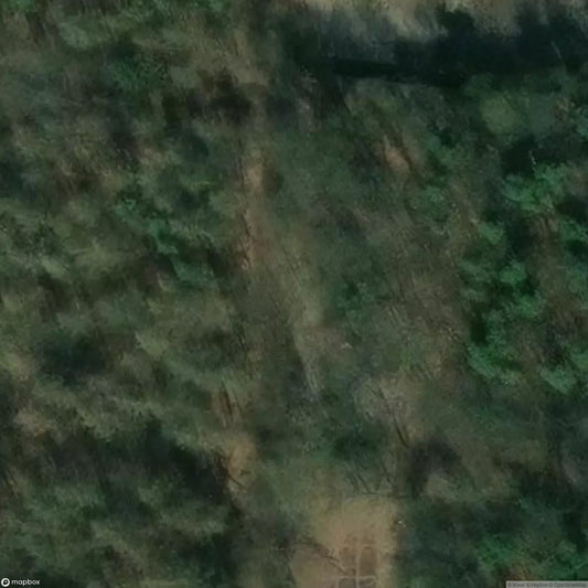 Wifo Zarrentin [DEU]