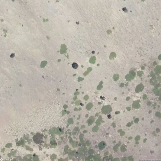 Janus Fortification [FRA]