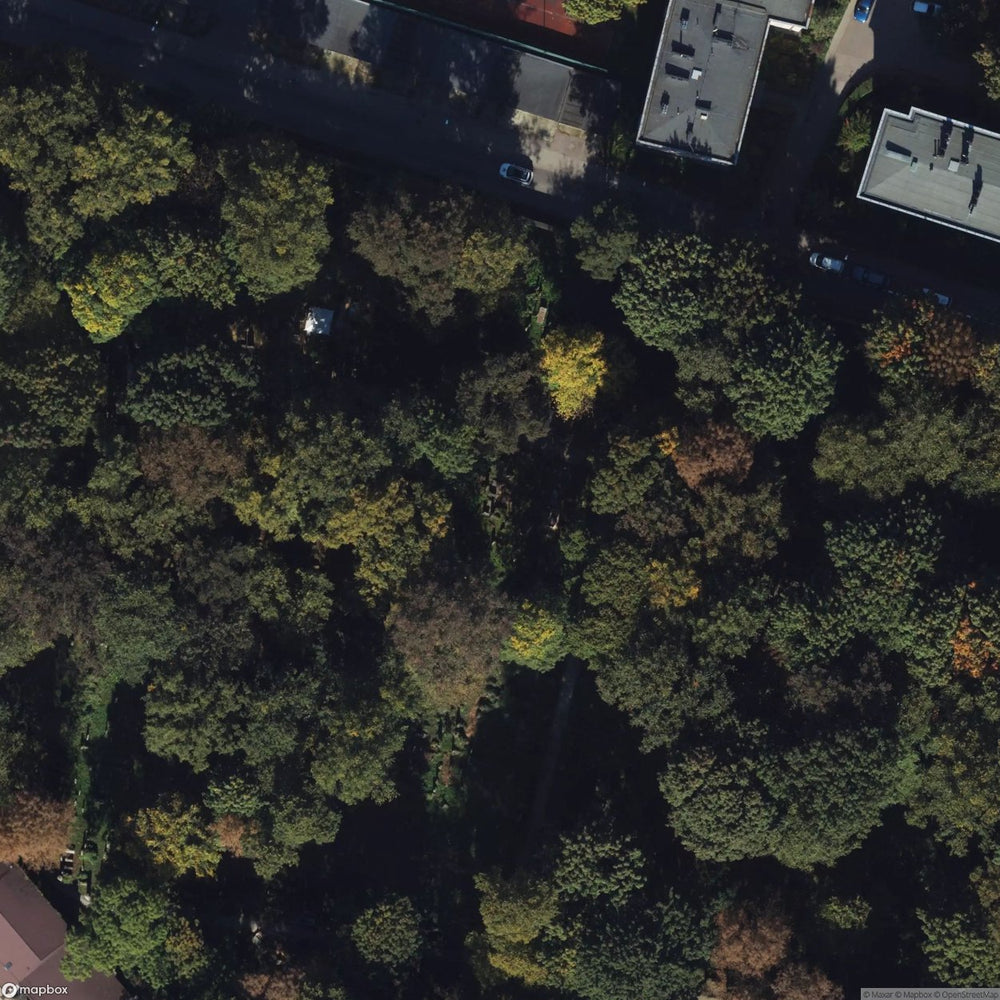 Historic Cemetery Old Jewish Cemetery In Krakow [POL] #35858
