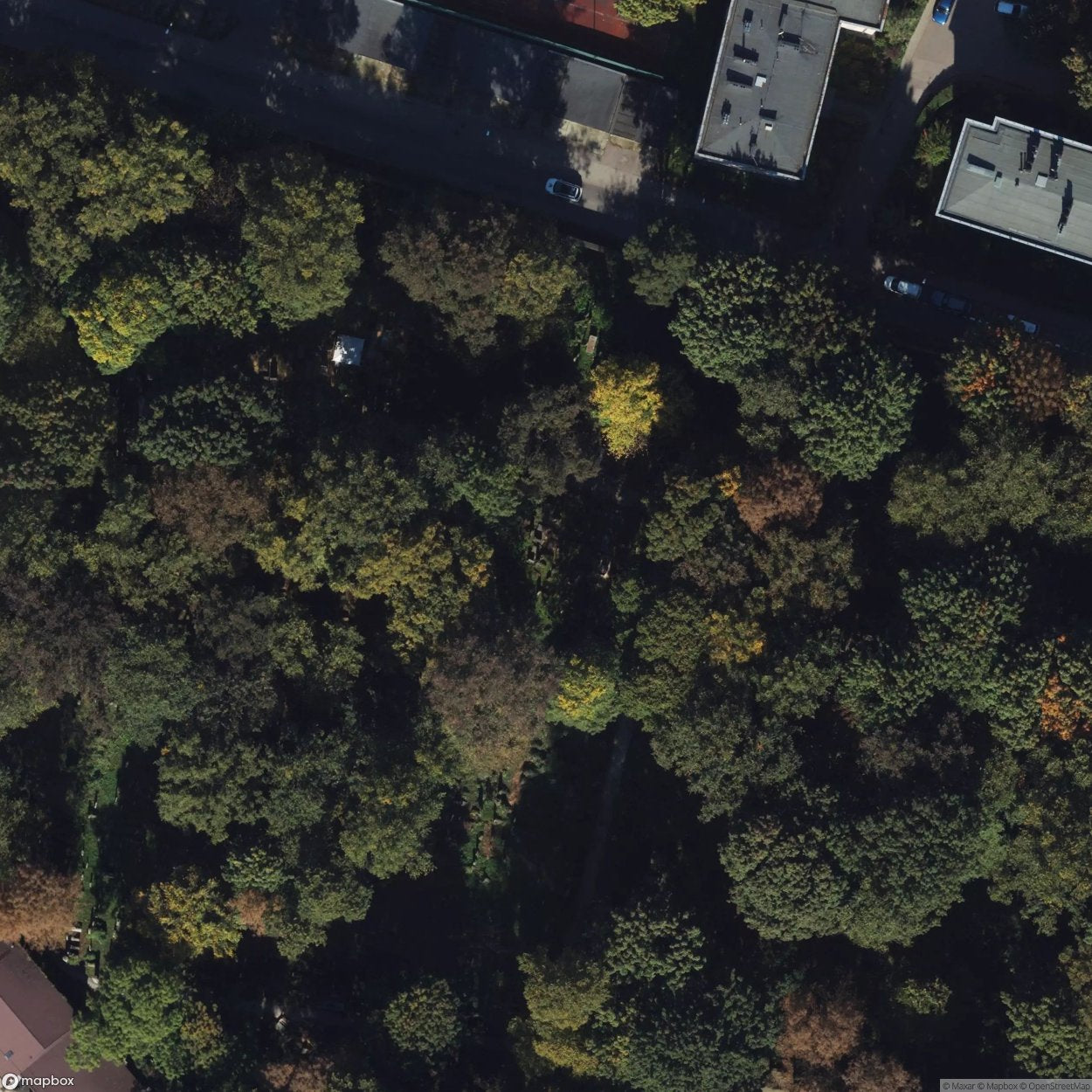 Historic Cemetery Old Jewish Cemetery In Krakow [POL] #35858