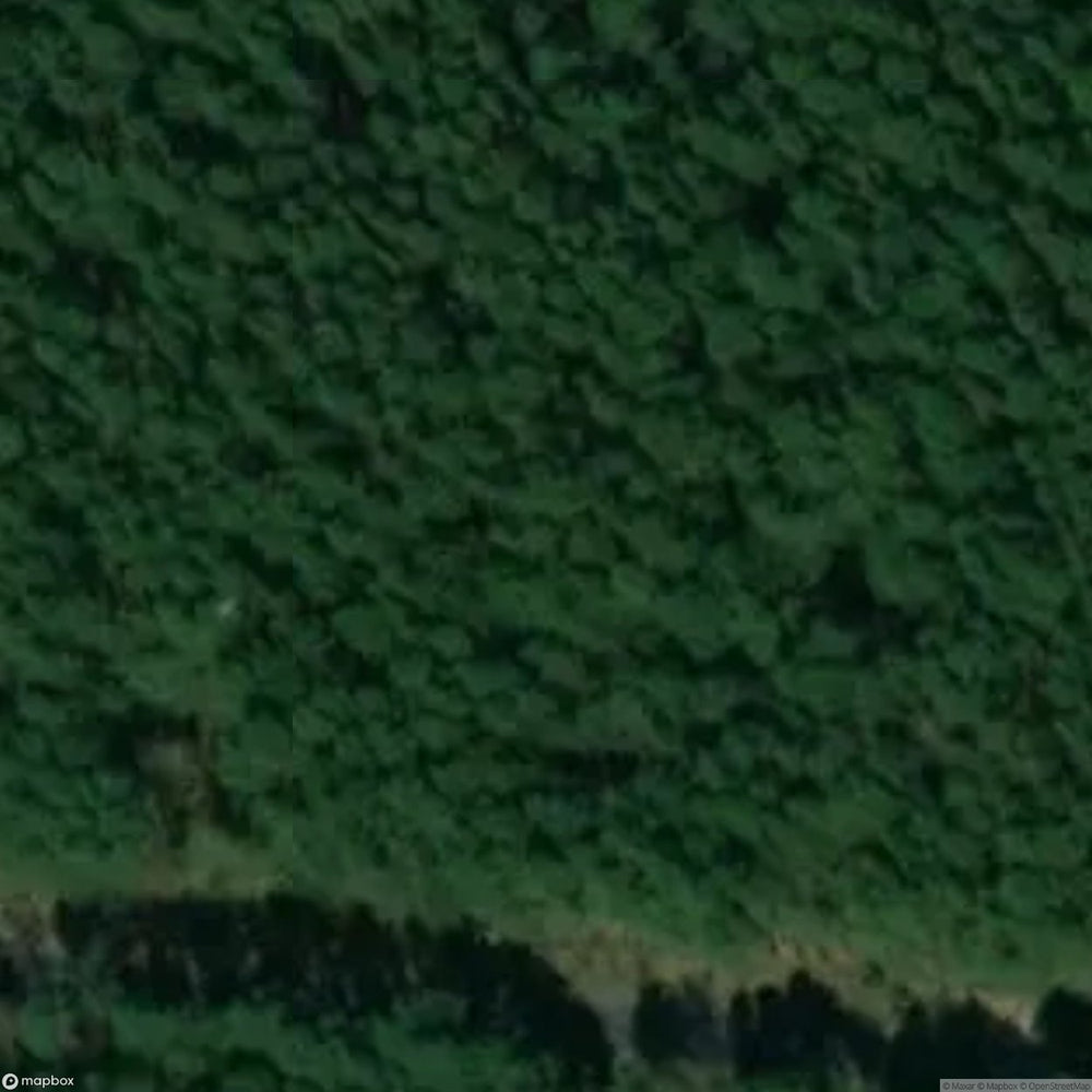 Koscian Site [POL] #32762