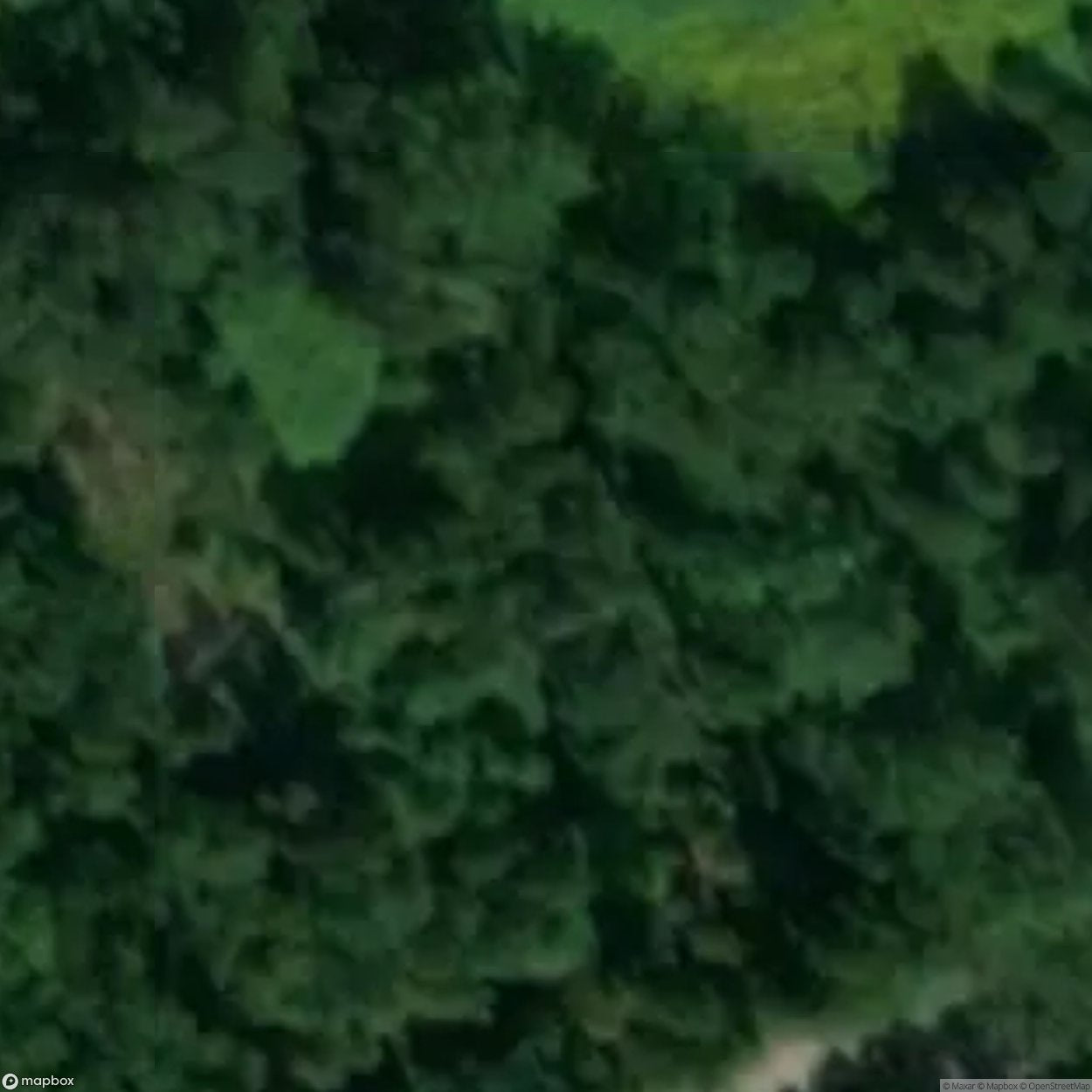 Swimming Pool 4 [POL]