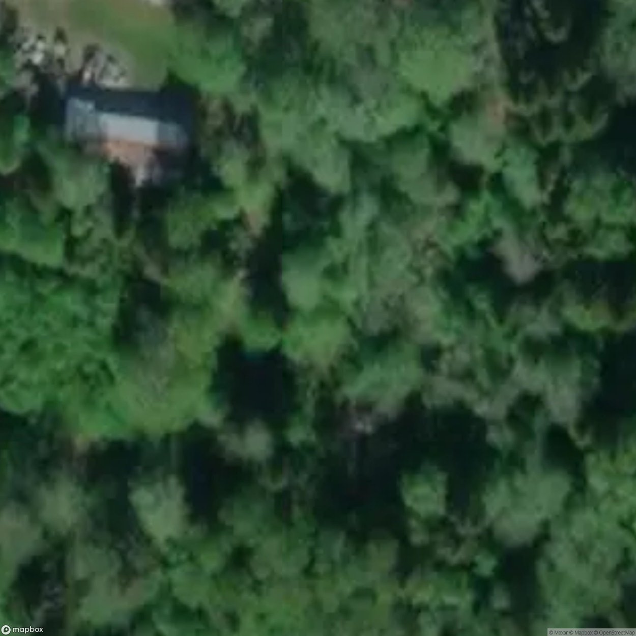 Cabin House 21 [SWE]