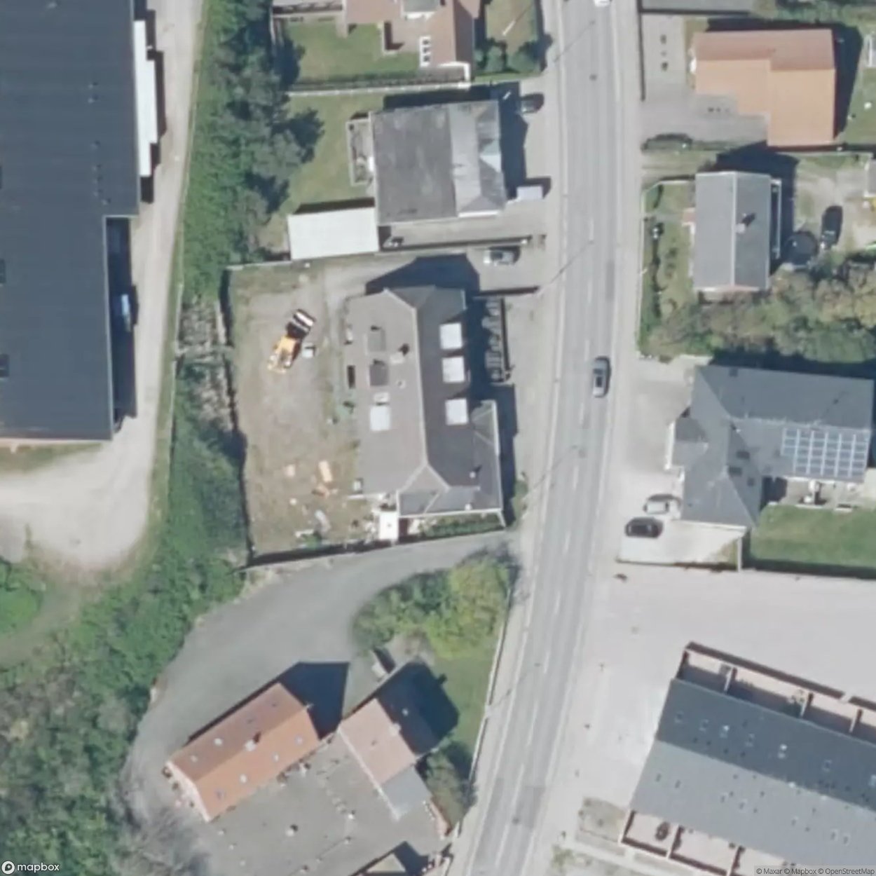 White Sharks Dart [DNK]