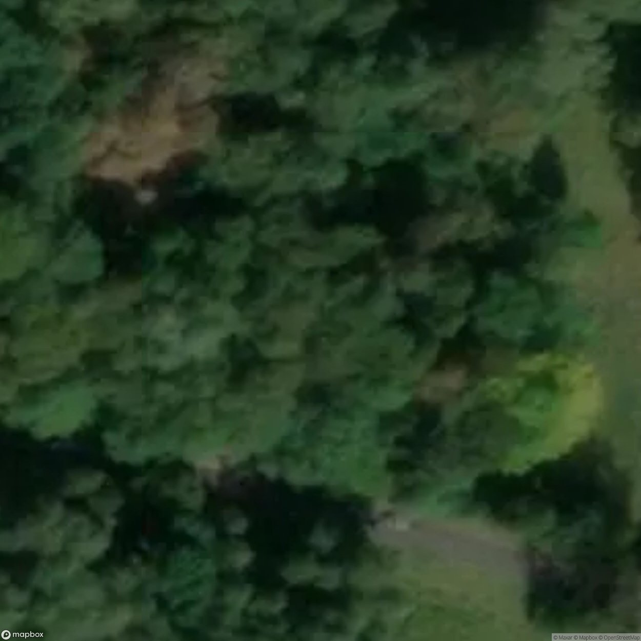 Pommernstellung - Bunker Remains [POL]