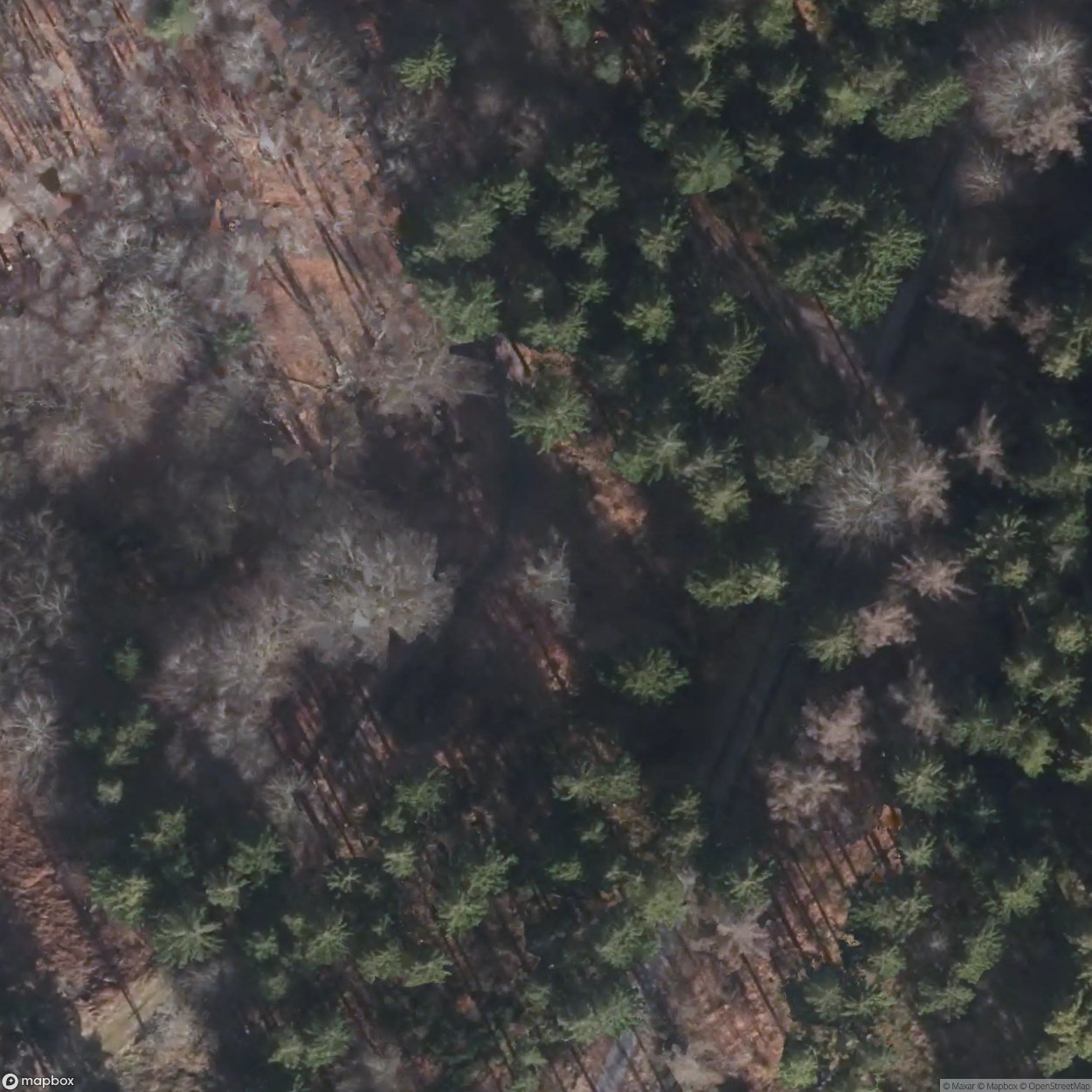 Water Bunker Simmerath Westwall [DEU]