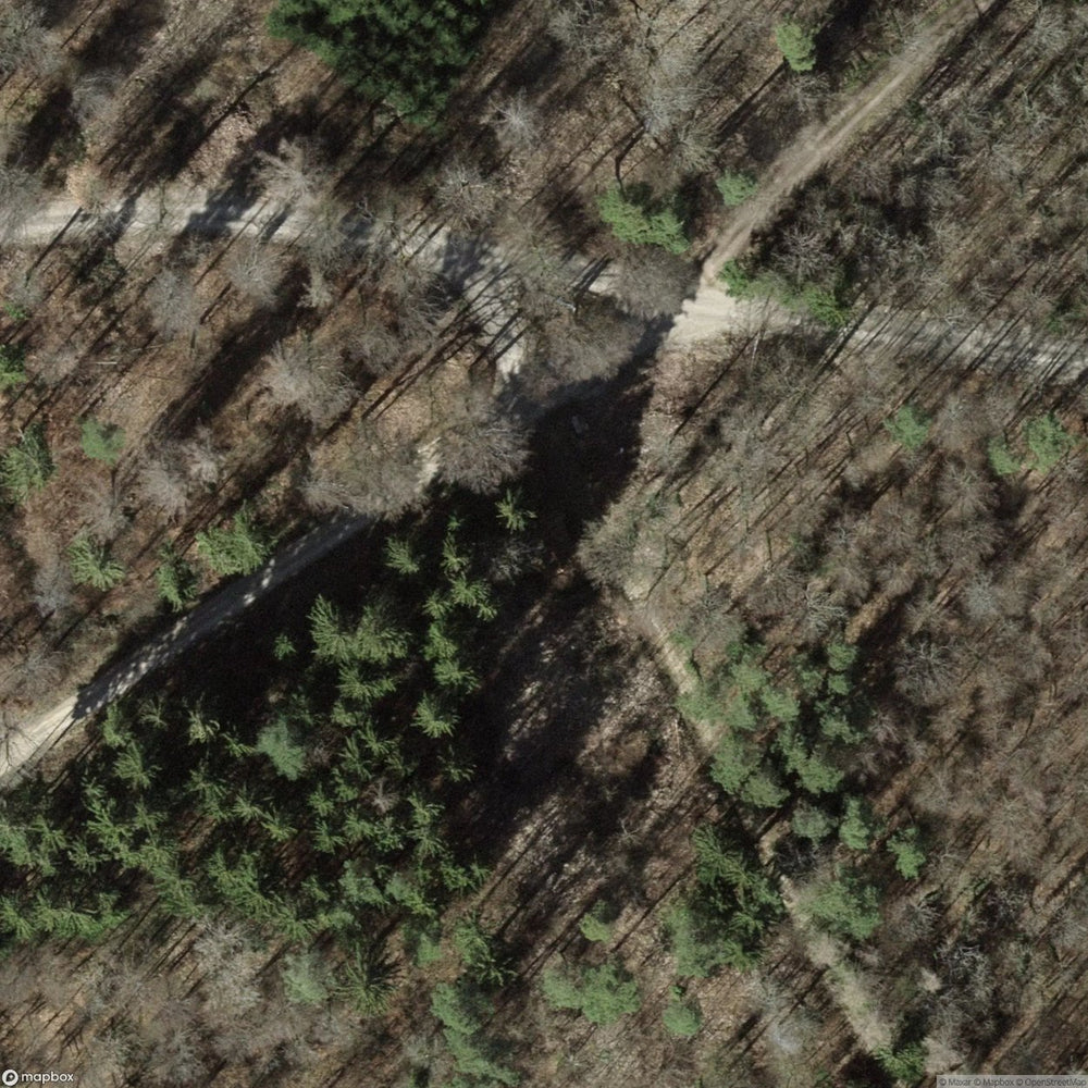 Fort Gowa [CHE] #17700