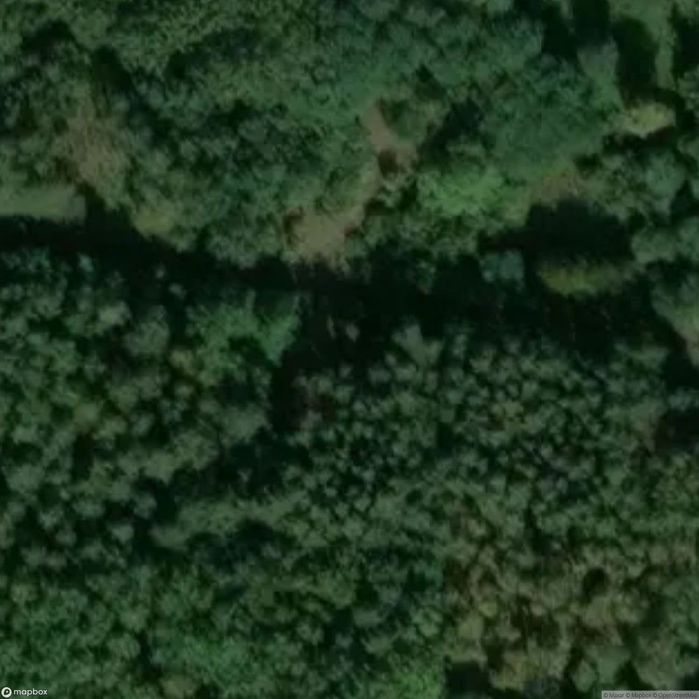 Site Abandoned Village Kampinos National Park [POL] #33428