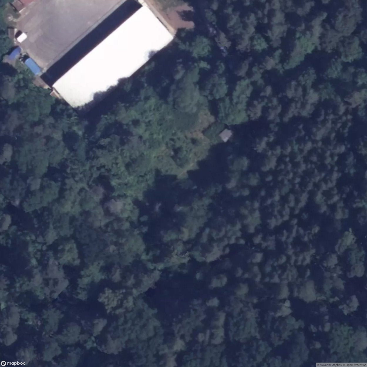 Abandoned Fort Fort Xii Janowo [DEU] #31992