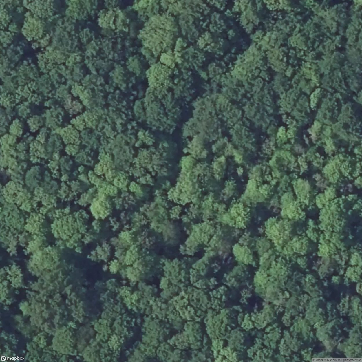 Latiremont Block 3 [FRA]