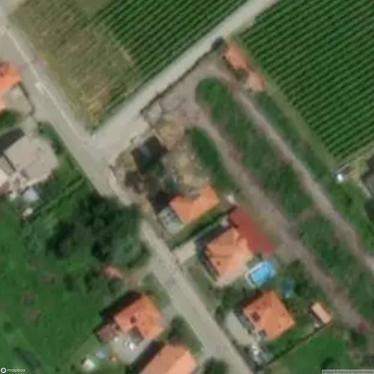 Villa Albero delle Scimmie [ITA]