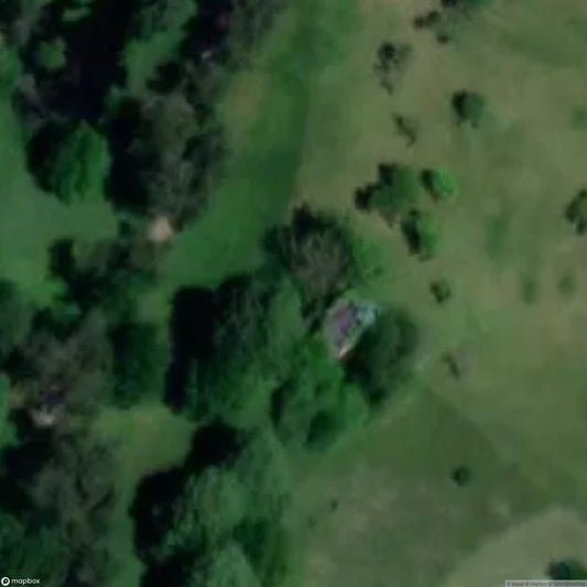 Old Tower (Ruins) [DEU]