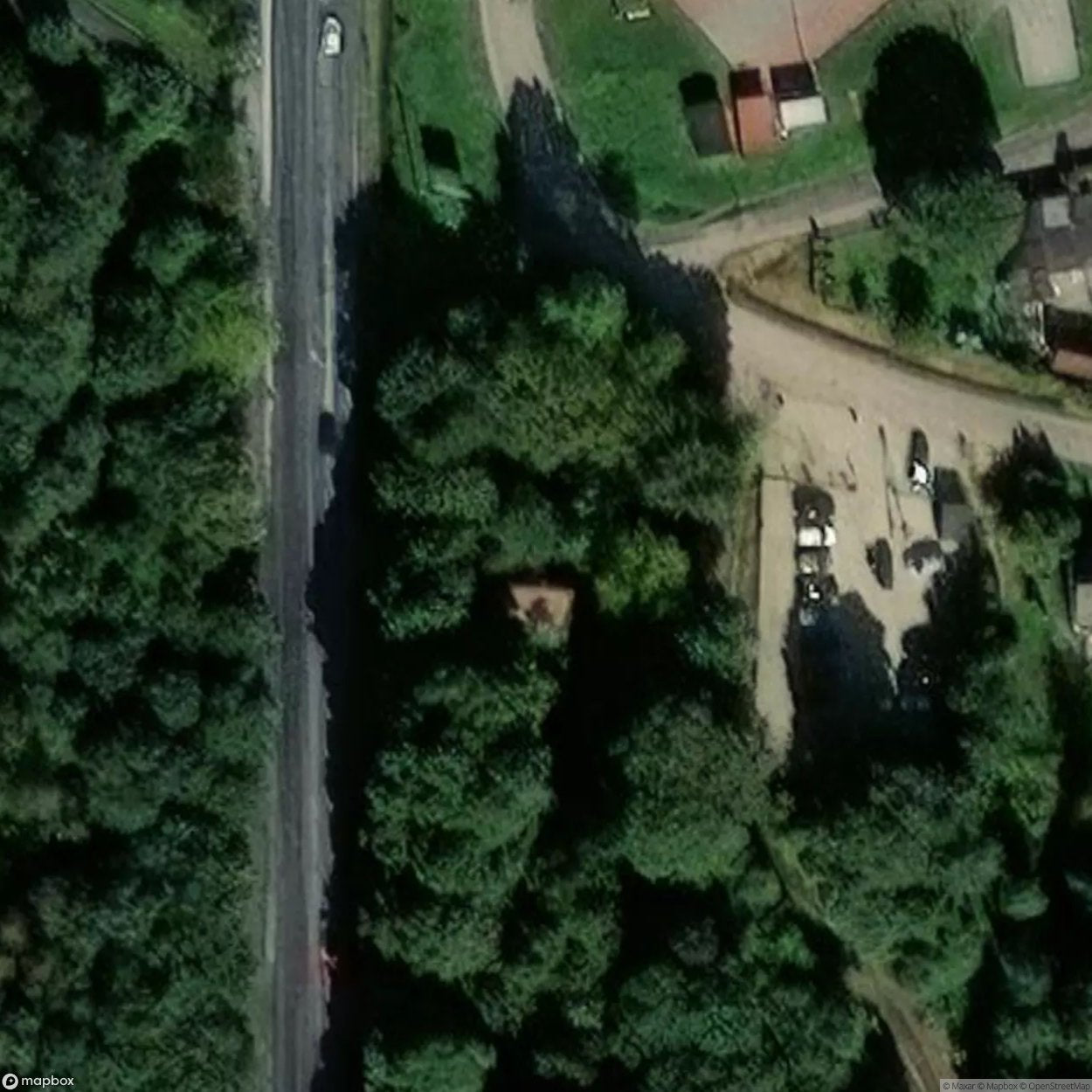 Historic Cemetery Pyskowice [POL] #35811