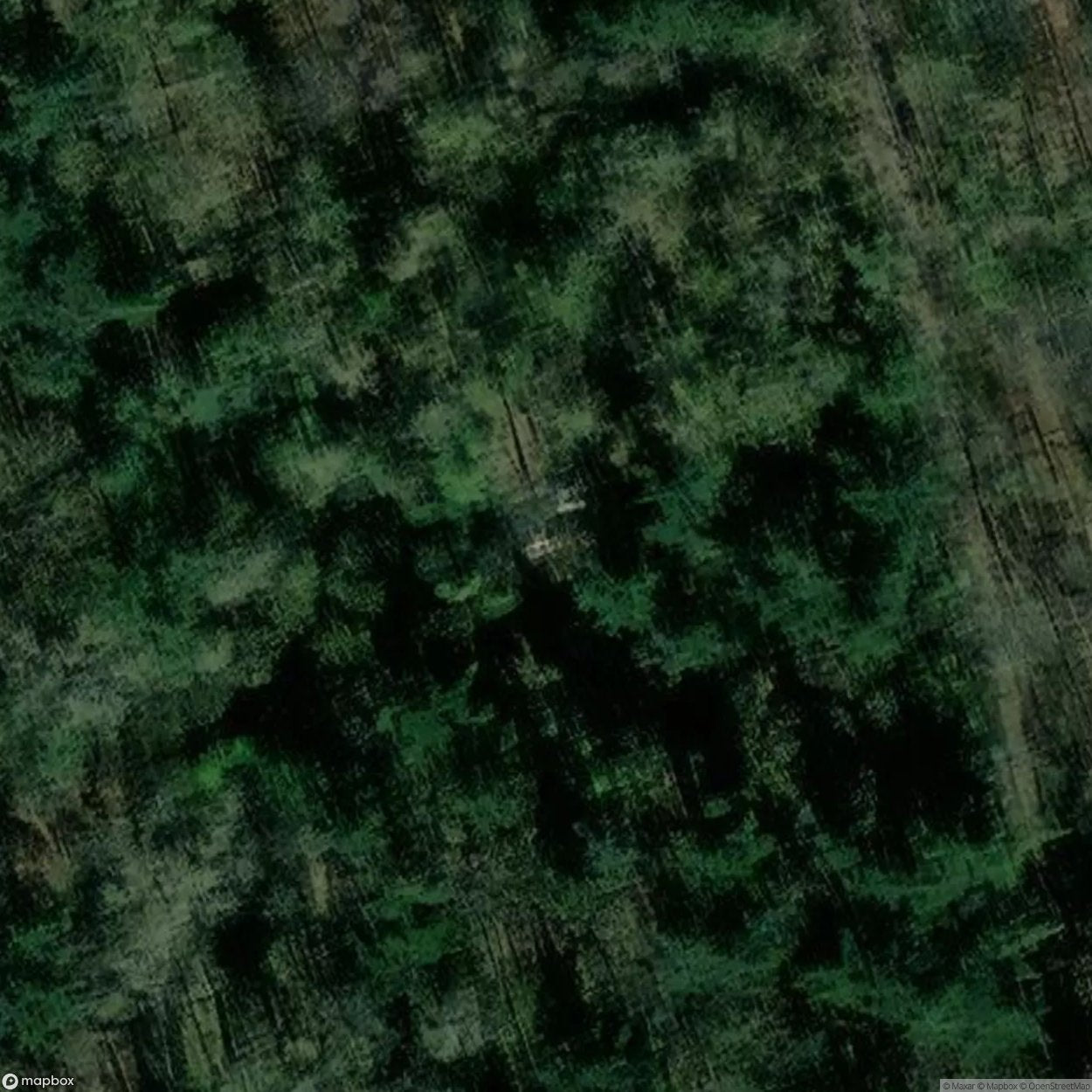 The Cursed Forest / Haunted Forest [BEL]