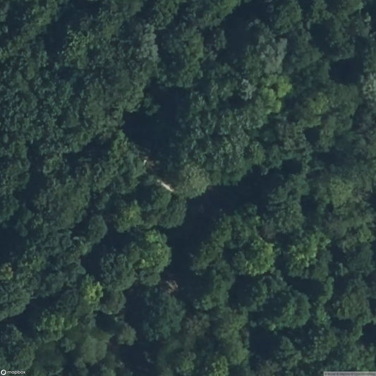 Battleship Turret Battery Buissiere [FRA]