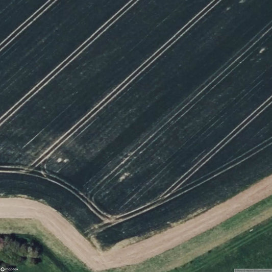 The Witley Wonder [GBR]