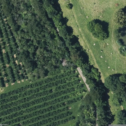 House Night Ride [DEU]