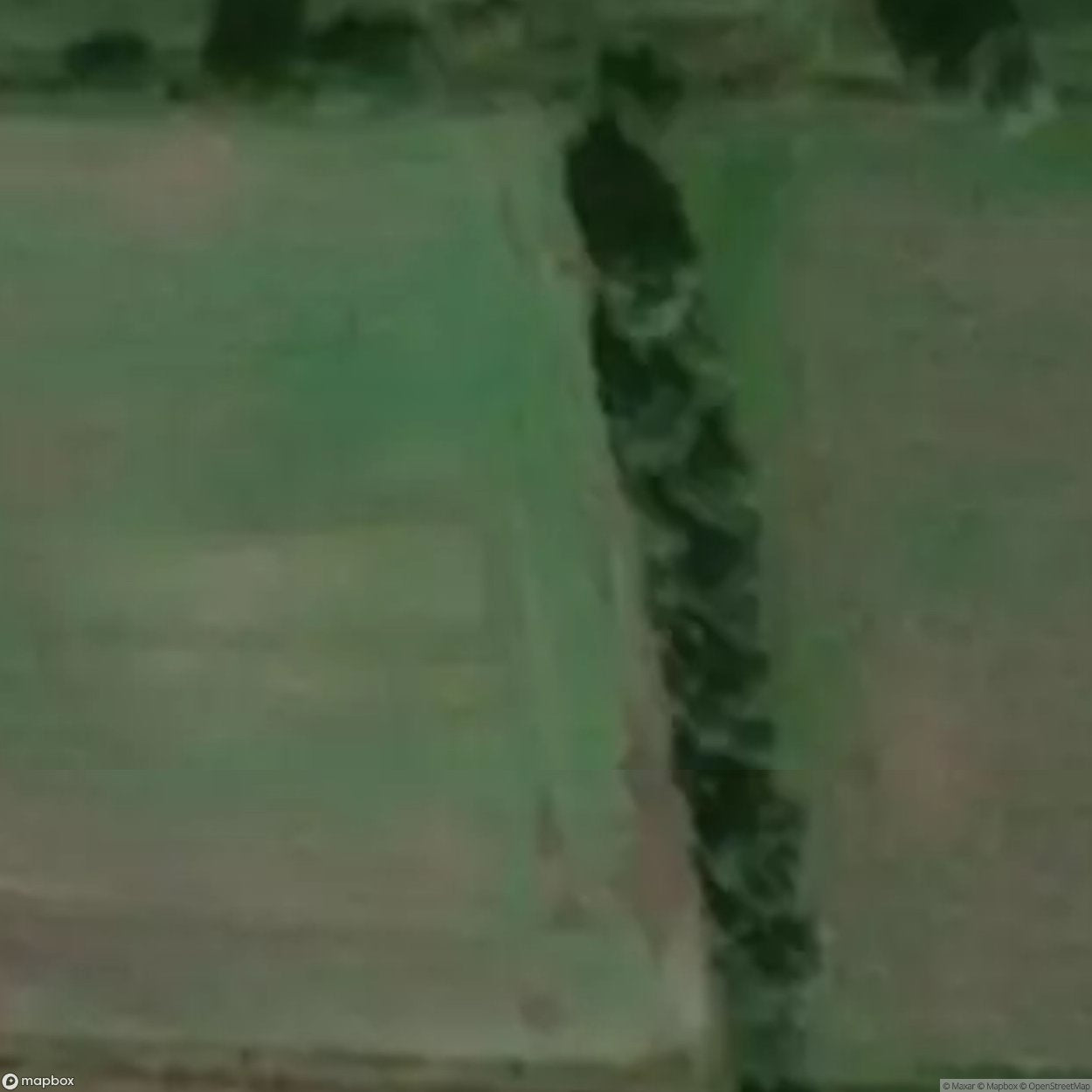 Historic Cemetery Wikrowo [POL] #35798