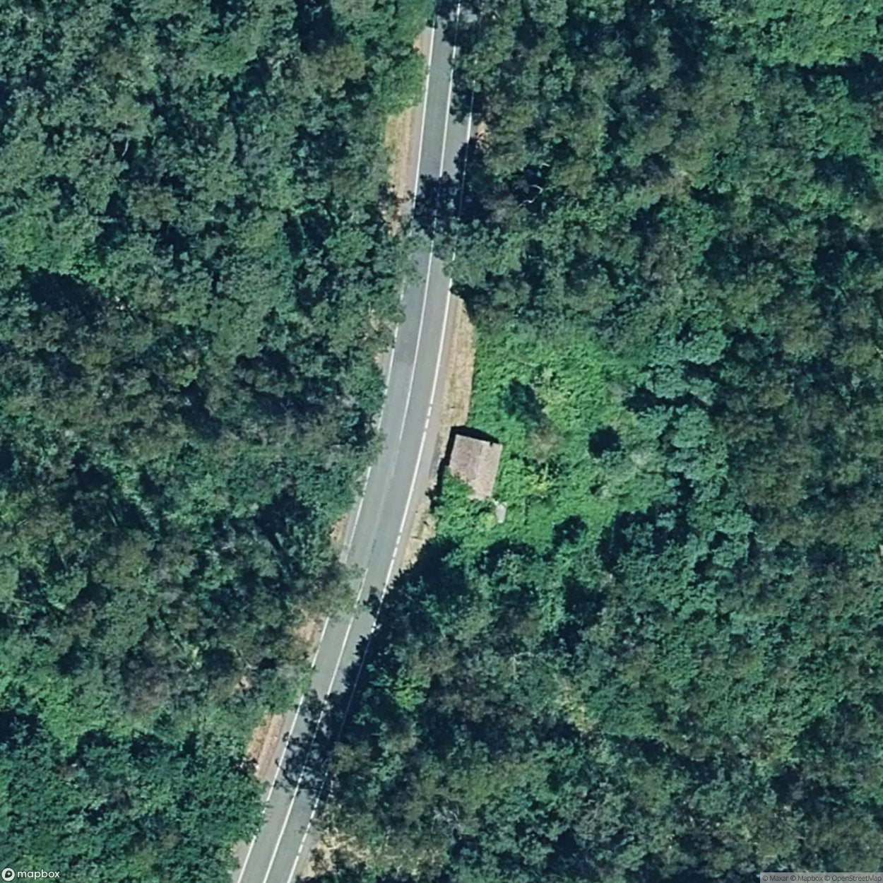 The Whale House [ESP]