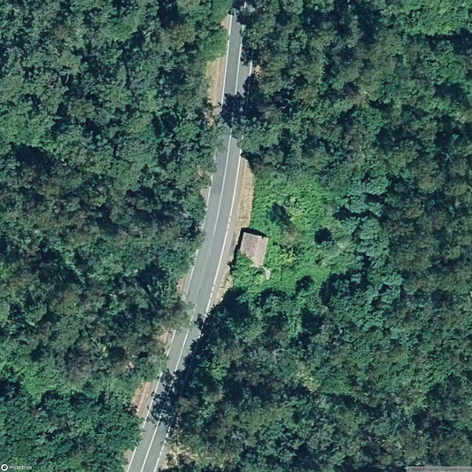 The Whale House [ESP]