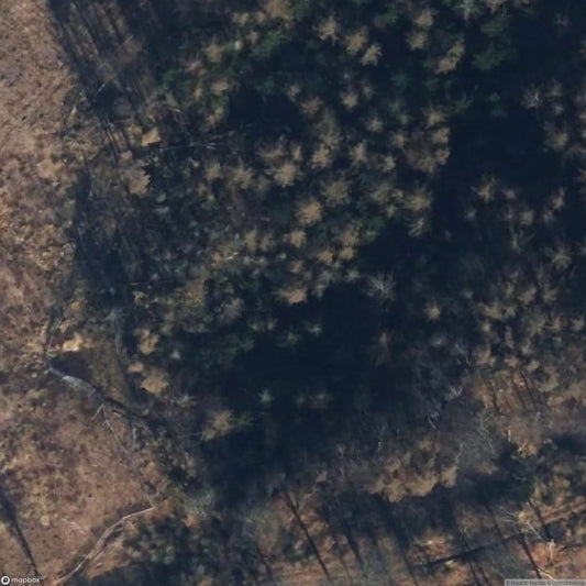 Luntorf Bridge [DEU]