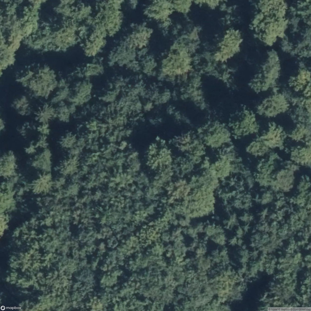 Jewish Cemetery [DEU] #08193
