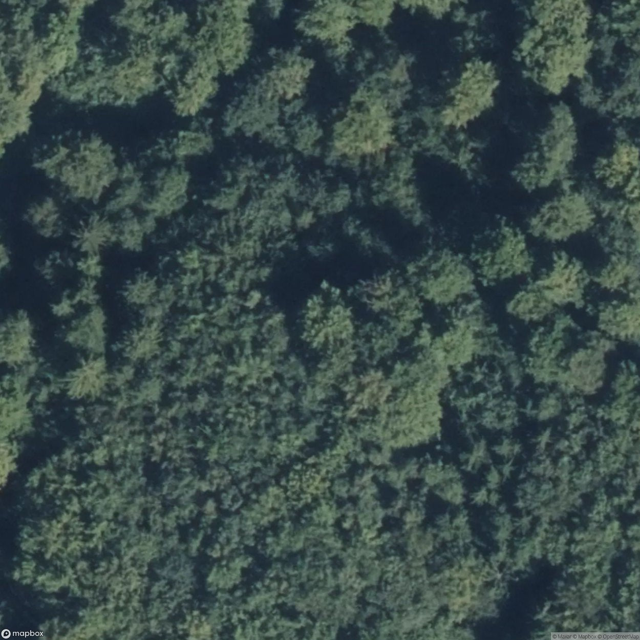 Jewish Cemetery [DEU] #08193