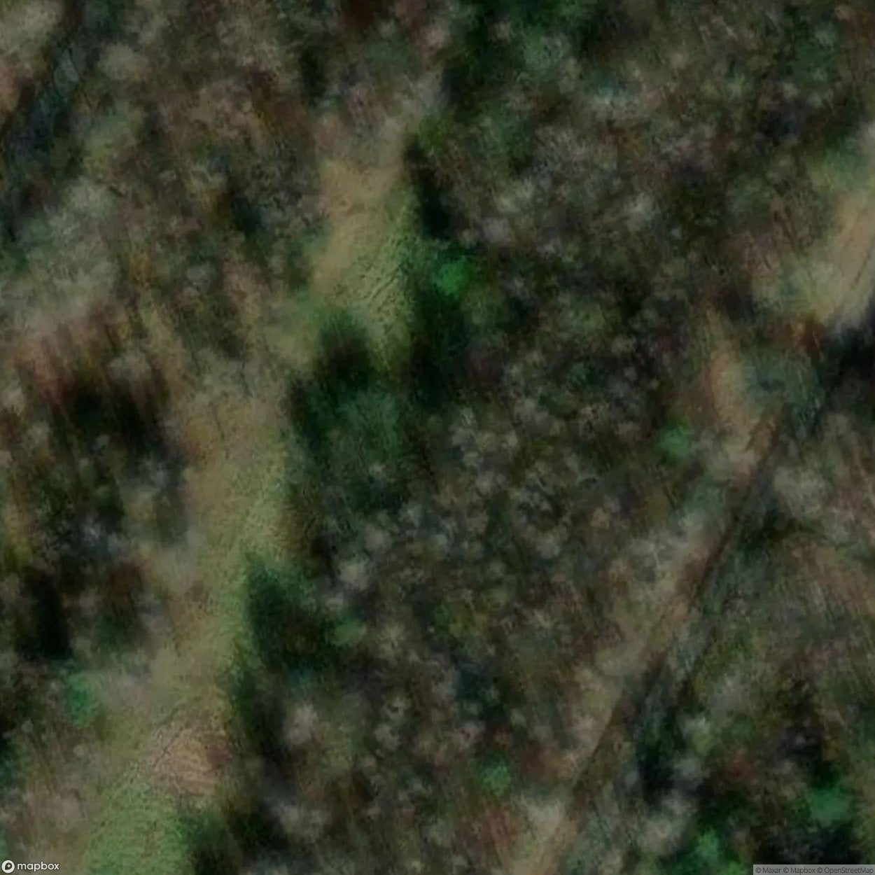 Bunker Trail Group Of Bunkers [BEL] #17067