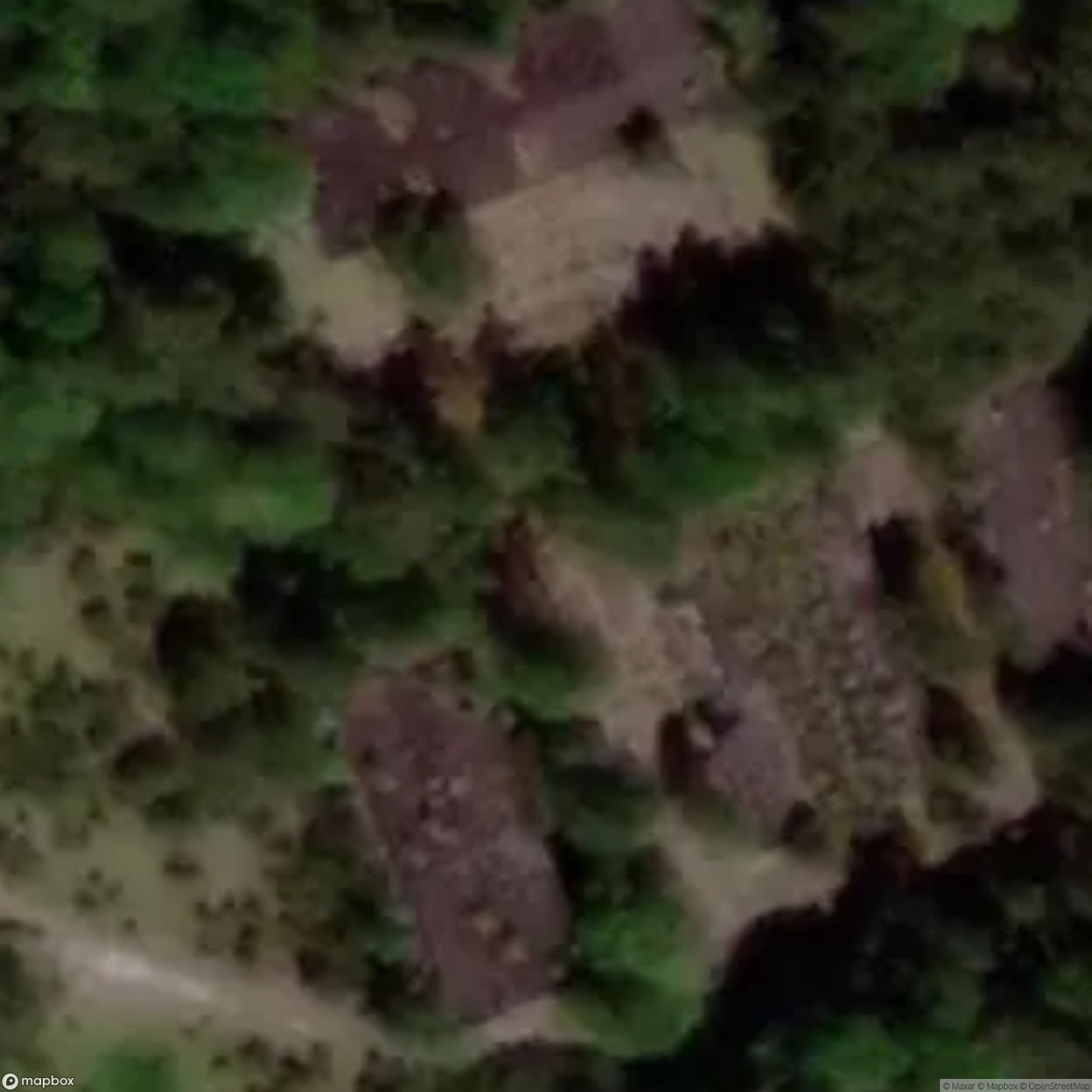 Reddigau Building [DEU] #00159