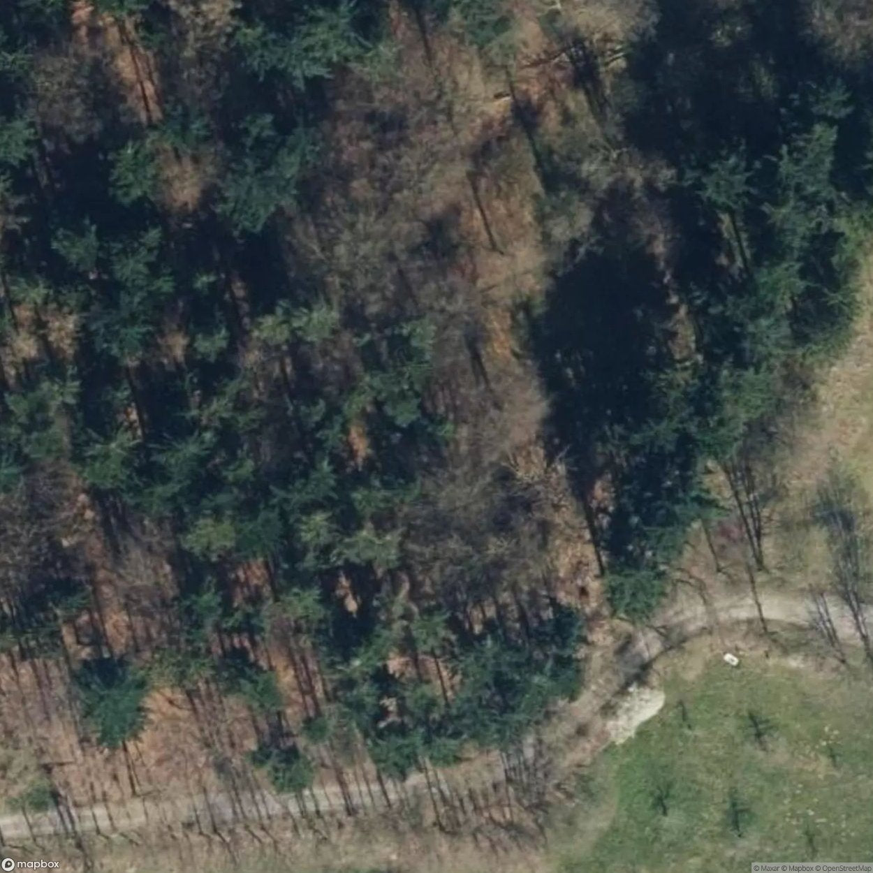 Fairytale Forest [DEU]