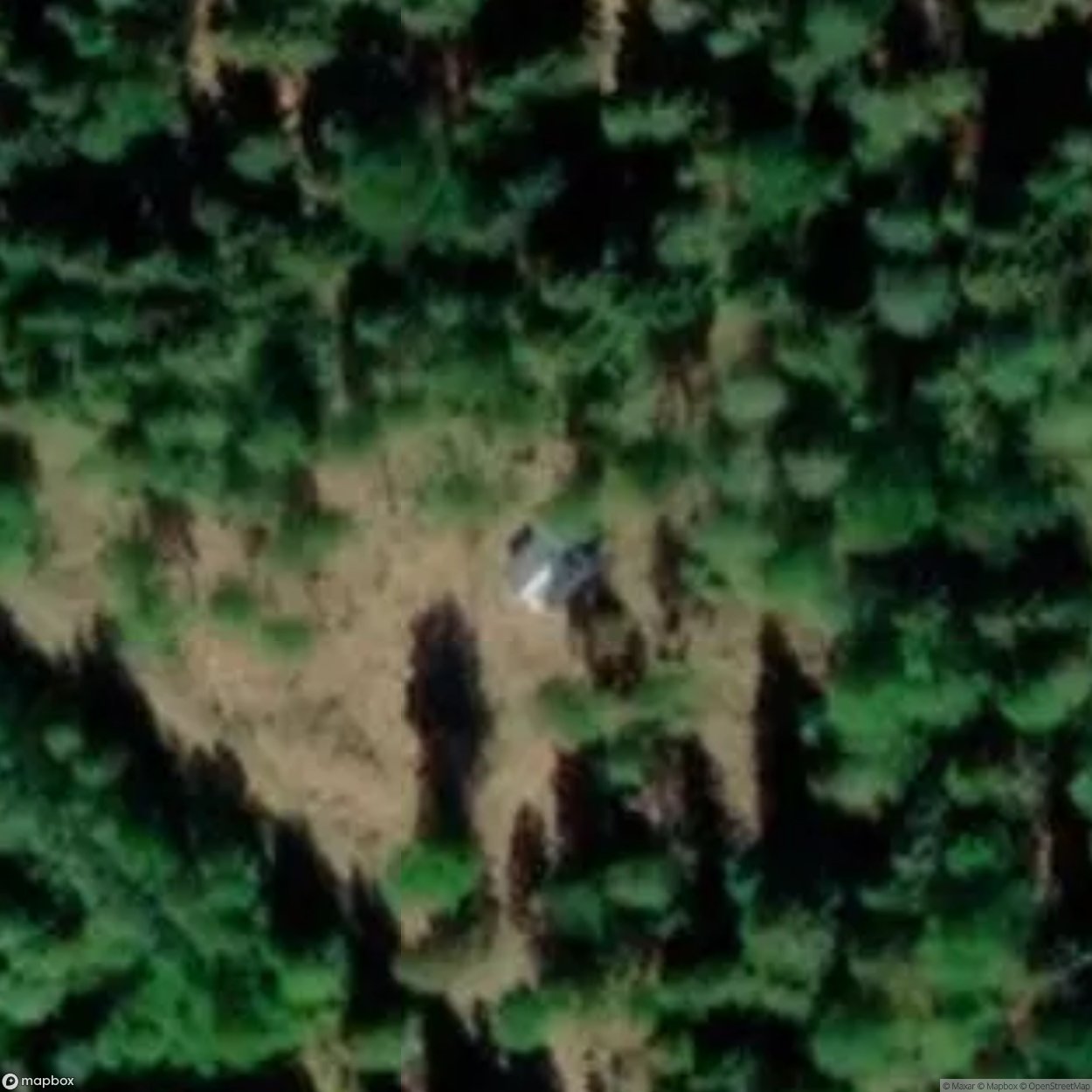 Hous in tha Woods [SWE]