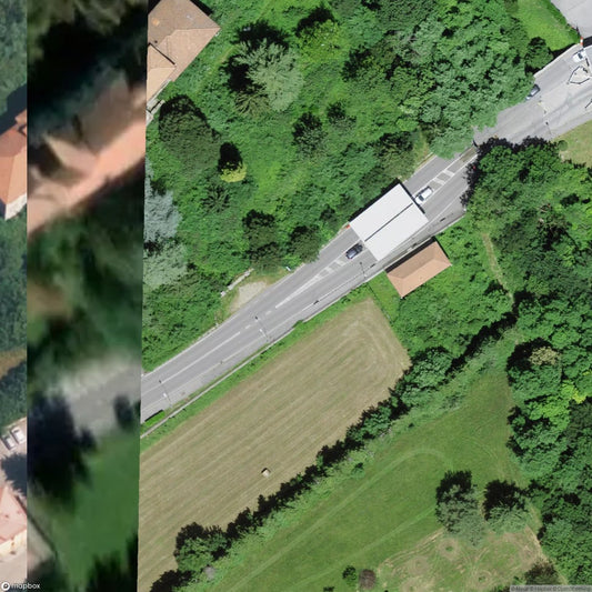 Mono Orphanage [ITA]