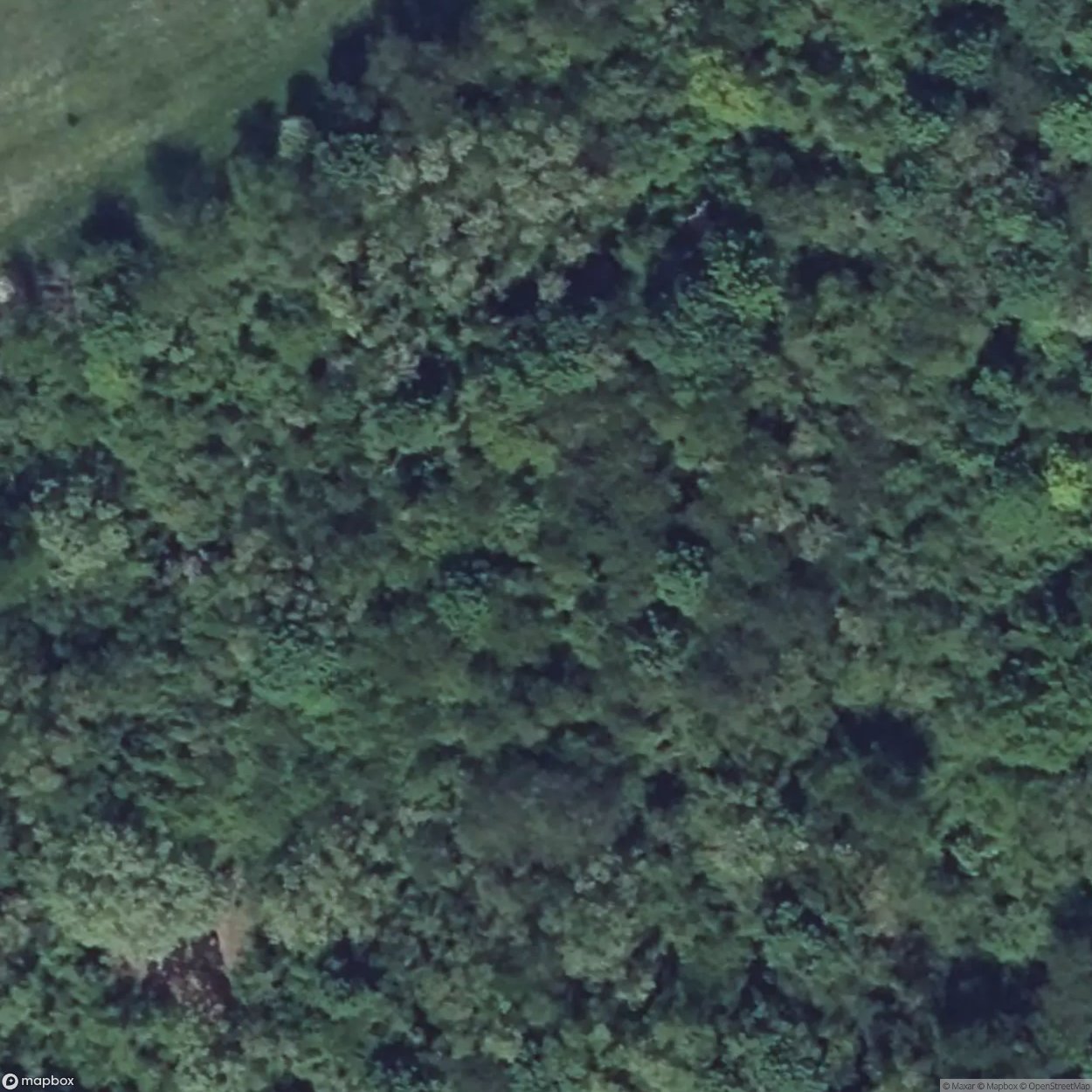 Ammunition Depot [FRA] #16675